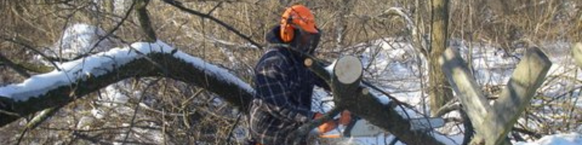 Banner Winter Trail Maintenance